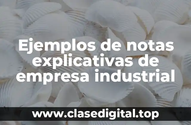 Ejemplos de notas explicativas de empresa industrial