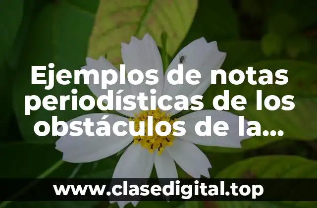 Ejemplos de notas periodísticas de obstáculos de la democracia