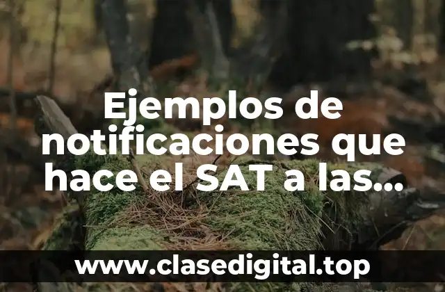 Ejemplos de notificaciones que hace el SAT a las empresas
