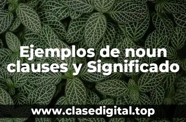 Ejemplos de noun clauses y Significado