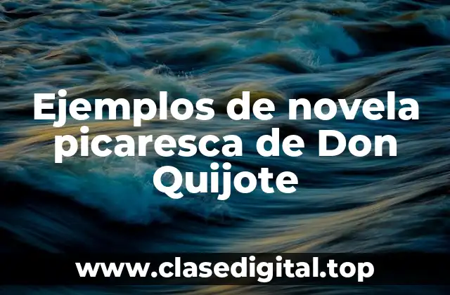 Ejemplos de novela picaresca de Don Quijote