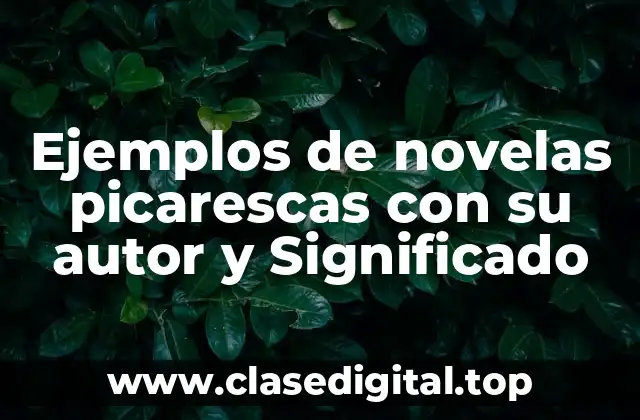 Ejemplos de novelas picarescas con su autor y Significado