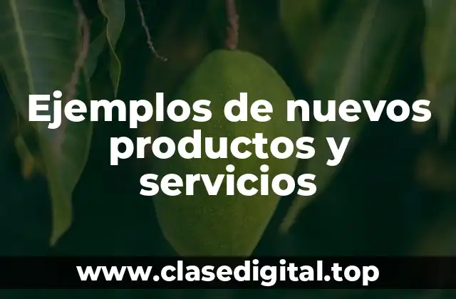 Ejemplos de nuevos productos y servicios