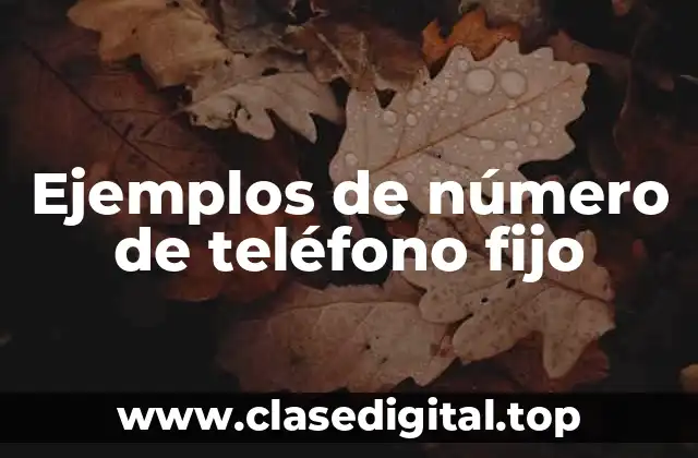 Ejemplos de número de teléfono fijo