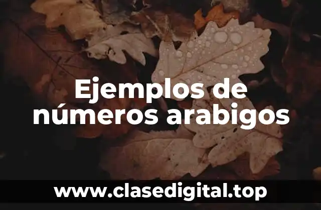Ejemplos de números arabigos