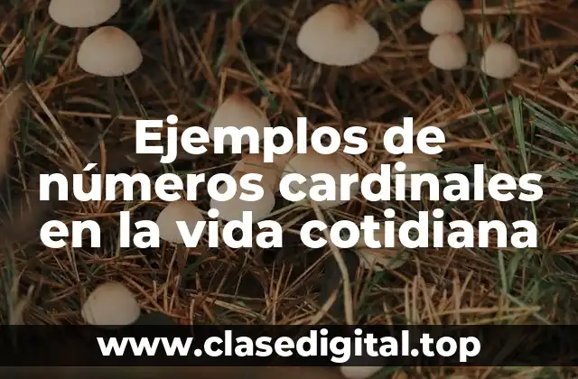 Ejemplos de números cardinales en la vida cotidiana