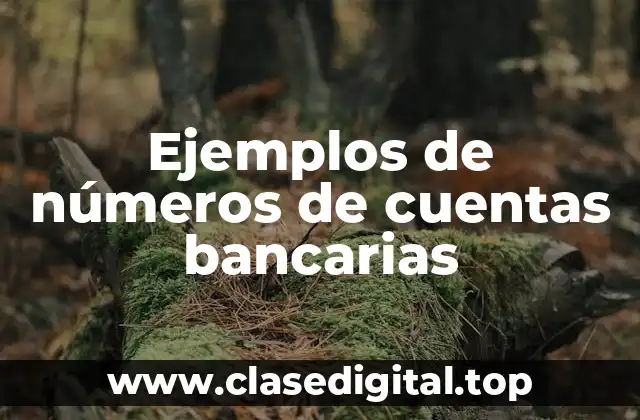 Ejemplos de números de cuentas bancarias