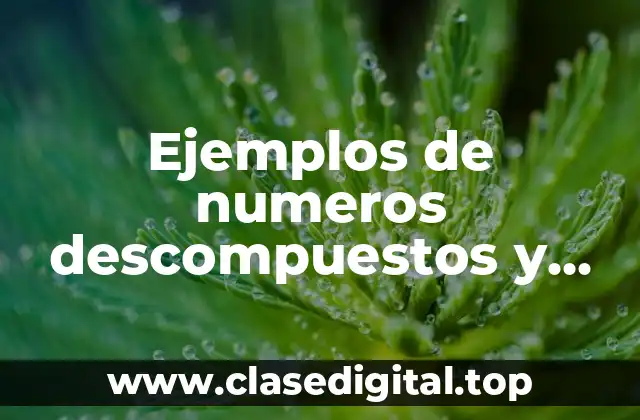 Ejemplos de numeros descompuestos y Significado