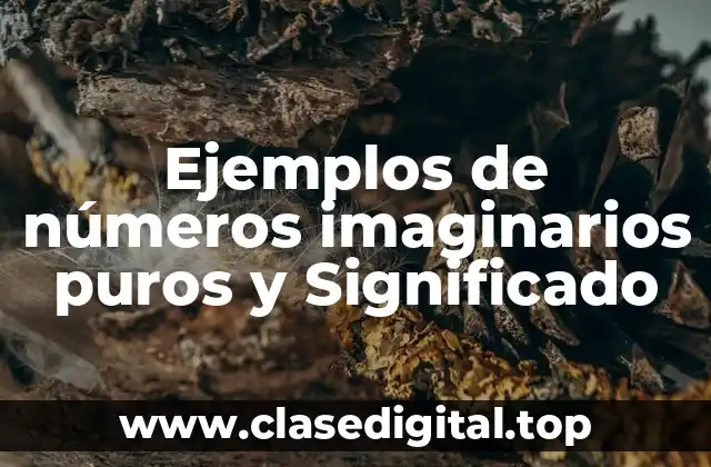 Ejemplos de números imaginarios puros y Significado
