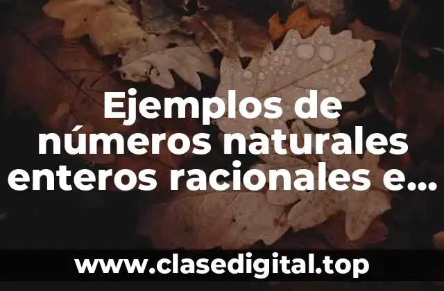 Ejemplos de números naturales enteros racionales e irrationales