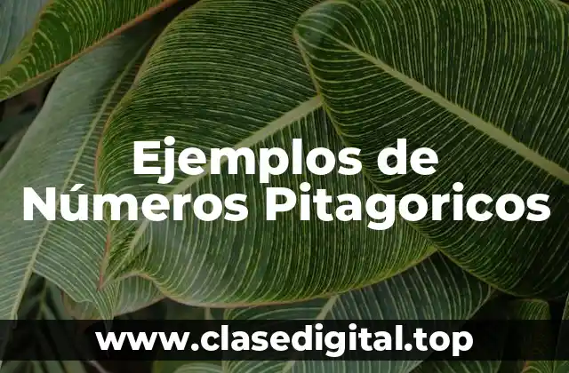 Ejemplos de Números Pitagoricos