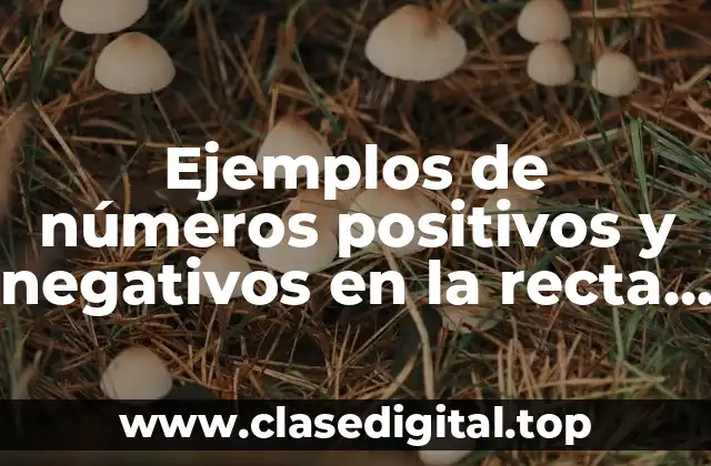 Ejemplos de números positivos y negativos en la recta numérica y Significado