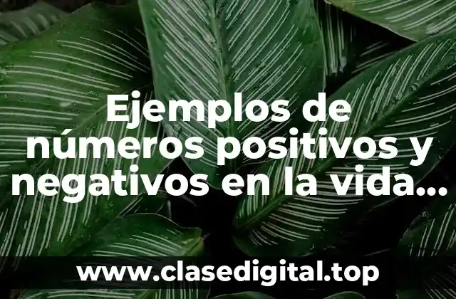 Ejemplos de números positivos y negativos en la vida diaria
