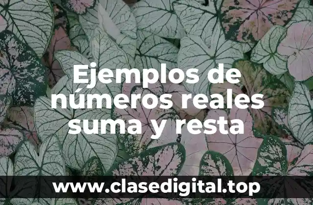 Ejemplos de suma y resta de números reales