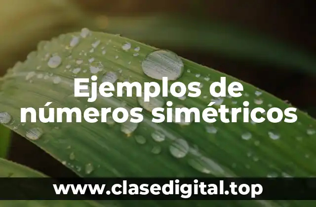 Ejemplos de números simétricos