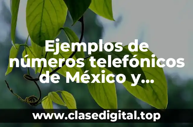 Ejemplos de números telefónicos de México y Significado