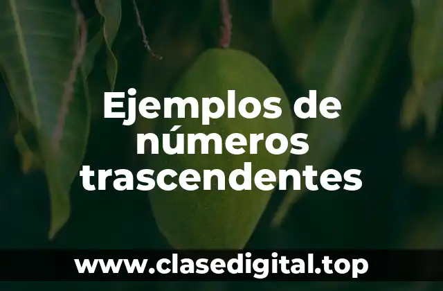 Ejemplos de números trascendentes