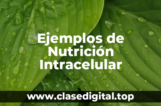 Ejemplos de Nutrición Intracelular