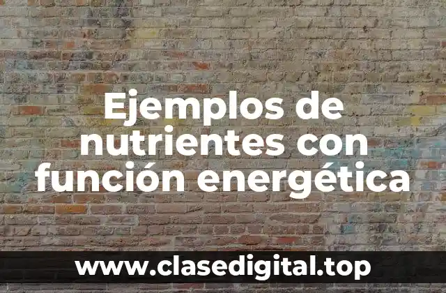 Ejemplos de nutrientes con función energética