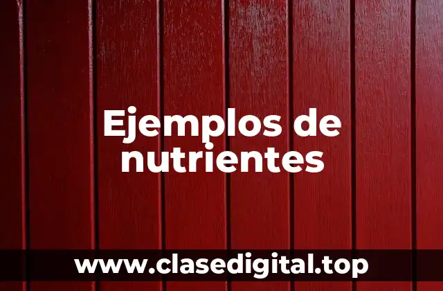 Ejemplos de nutrientes