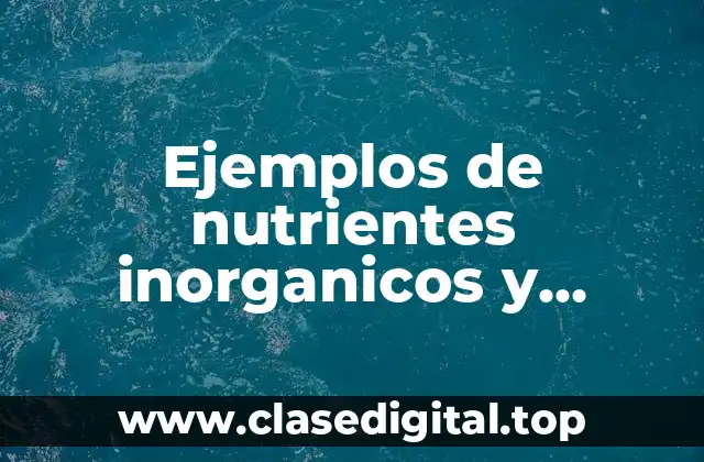 Ejemplos de nutrientes inorganicos y Significado