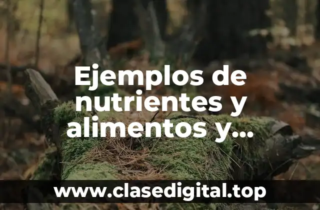 Ejemplos de nutrientes y alimentos