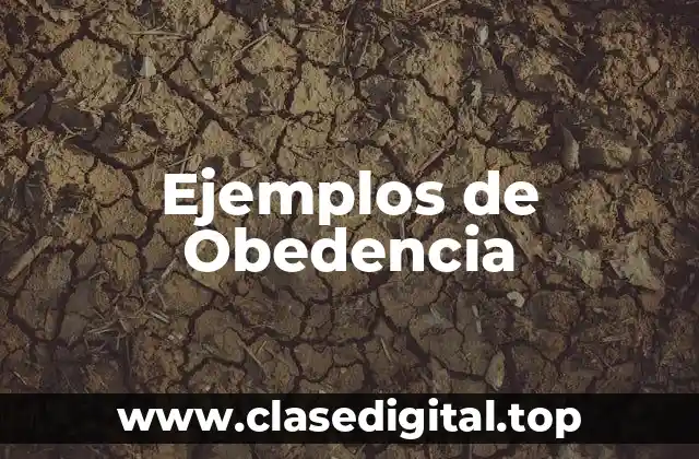 Ejemplos de Obedencia