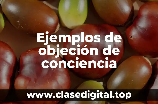 Ejemplos de objeción de conciencia