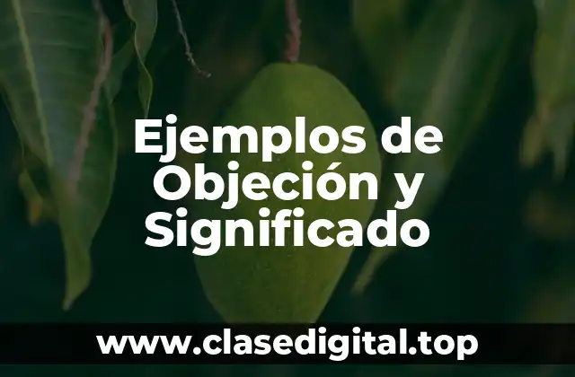 Ejemplos de Objeción y Significado