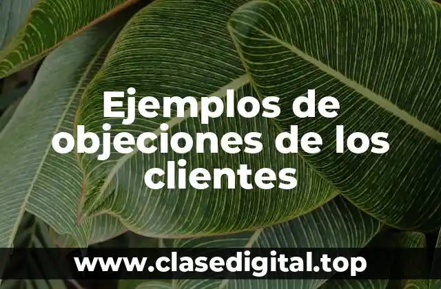 Ejemplos de objeciones de los clientes
