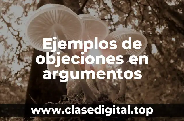 Ejemplos de objeciones en argumentos