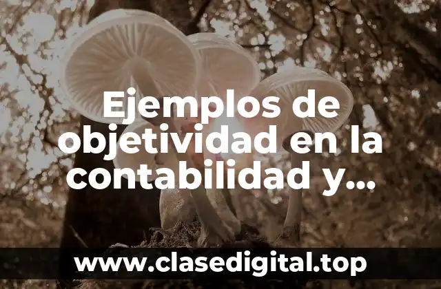 Ejemplos de objetividad en la contabilidad y Significado