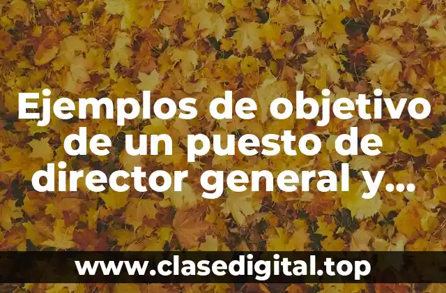 Ejemplos de objetivo de un puesto de director general y Significado