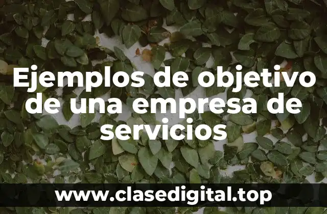 Ejemplos de objetivo de una empresa de servicios