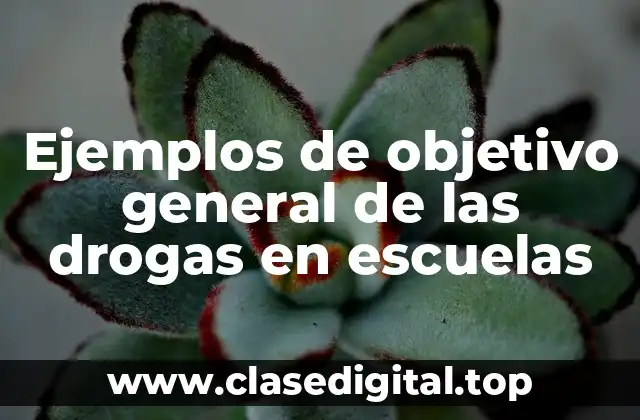 Ejemplos de objetivo general de las drogas en escuelas