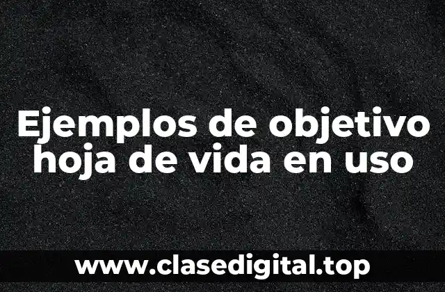 Ejemplos de objetivo hoja de vida en uso