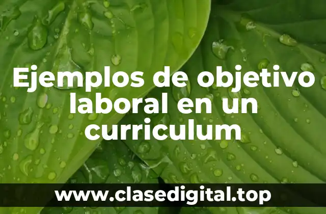 Ejemplos de objetivo laboral en un curriculum