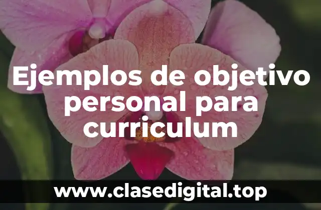 Ejemplos de objetivo personal para curriculum