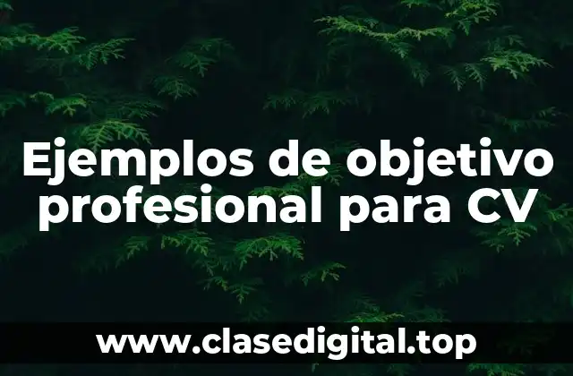 Ejemplos de objetivos profesionales para CV