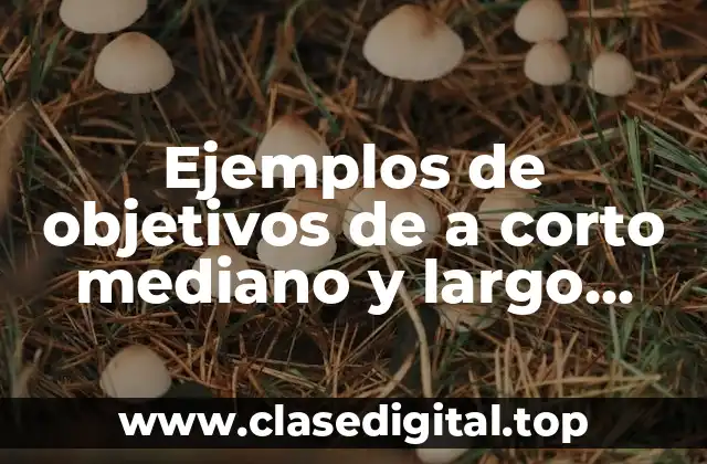 Ejemplos de objetivos de a corto mediano y largo plazo