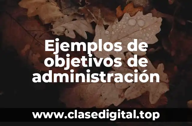 Ejemplos de objetivos de administración
