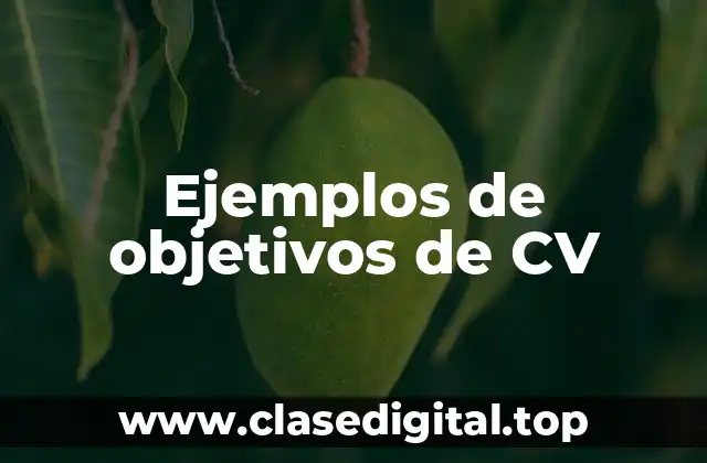 Ejemplos de objetivos de CV