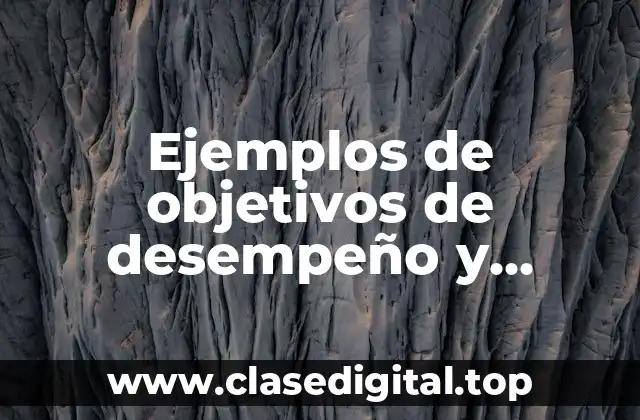 Ejemplos de objetivos de desempeño y Significado
