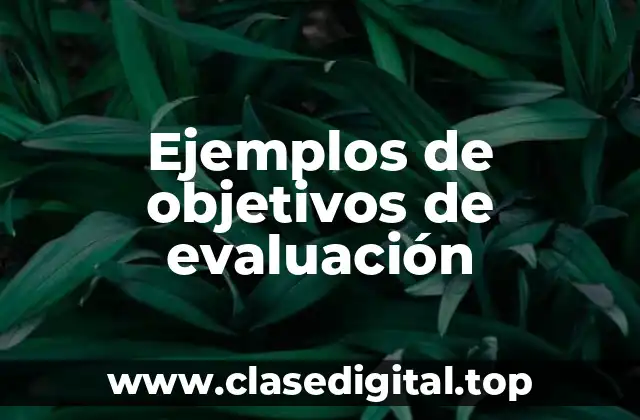 Ejemplos de objetivos de evaluación