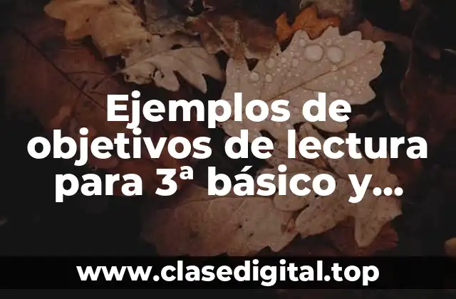 Ejemplos de objetivos de lectura para 3ª básico y Significado