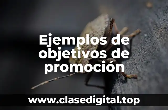 Ejemplos de objetivos de promoción