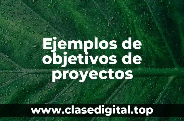 Ejemplos de objetivos de proyectos