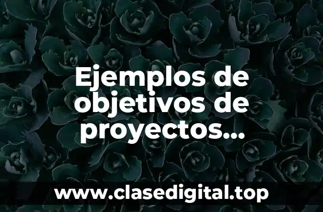 Ejemplos de objetivos de proyectos tecnologías de información