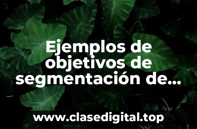 Ejemplos de objetivos de segmentación de mercado