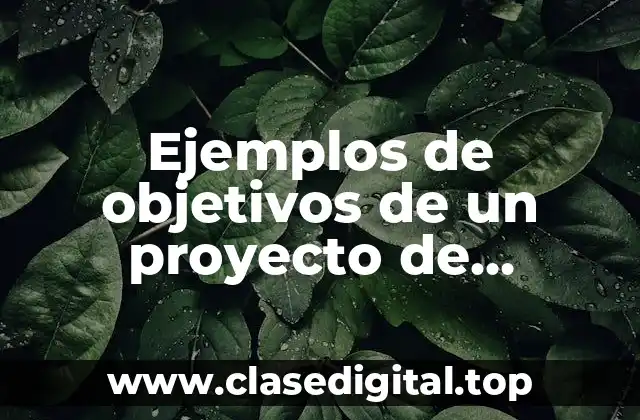 Ejemplos de objetivos de un proyecto de investigación